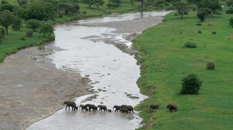 Pays Etranger - La Tanzanie - 1
