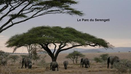 Pays Etranger - La Tanzanie - 1