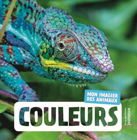 Couleurs – Mon imagier des animaux de Naturagency