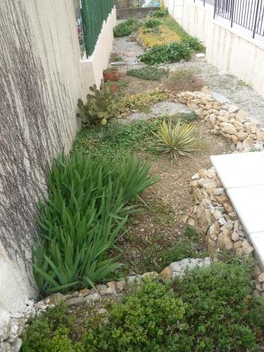 Le jardin ce dimanche jardin,herbe,fleurs,jardinage,tondeuse