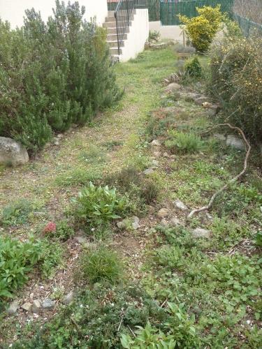 Le jardin ce dimanche jardin,herbe,fleurs,jardinage,tondeuse