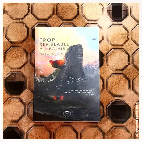 Trop semblable a l'éclair - Ada Palmer Trop semblable a l'éclair - Ada Palmer