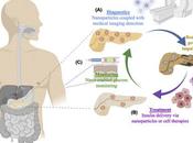 #trendsinendocrinologyandmetabolism #diabète #nanomédecine Stratégies Traitement Diabète Basées Nanomédecine Diagnostic, Suivi