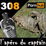 L’apéro du Captain #308 : Le Strip Club de la tortue Pornhub