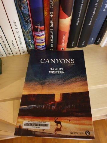 Samuel Western – Canyons ***