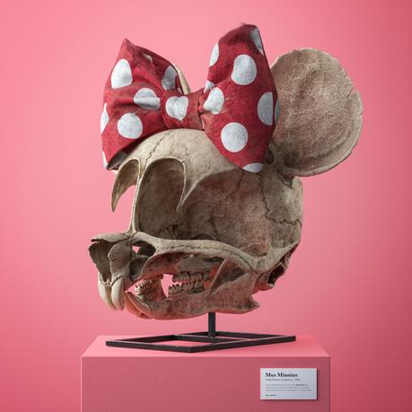 Cet artiste créé les crânes des personnages de cartoons