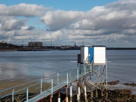 croît aussi ce qui sauve