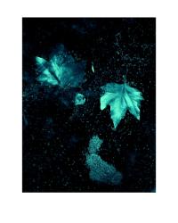 WEB-0355-allirand-50x40cm-marges- (1) WEB-0355-allirand-50x40cm-marges- (1)