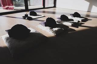 A quoi bon zazen ? A rien pour l'égo ! A quoi bon zazen ? A rien pour l'égo !