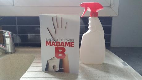 Madame B - Sandrine Destombes - Editions Hugo Thriller Madame B Sandrine Destombes avis chronique happybooks