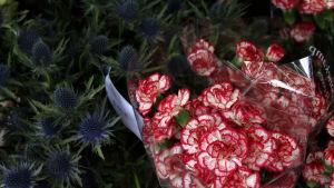 Deux jours à Bruxelles