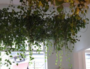 Deux jours à Bruxelles