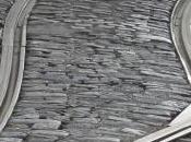 Ombre élastique petit matin