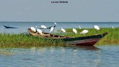 Pays Etranger - La Tanzanie - 2