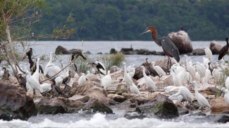 Pays Etranger - La Tanzanie - 2