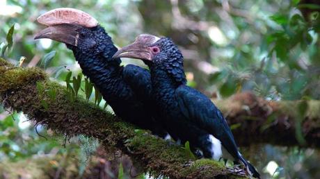 Pays Etranger - La Tanzanie - 2