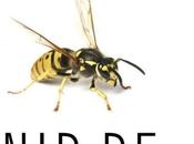 guêpes Rachel Abbott