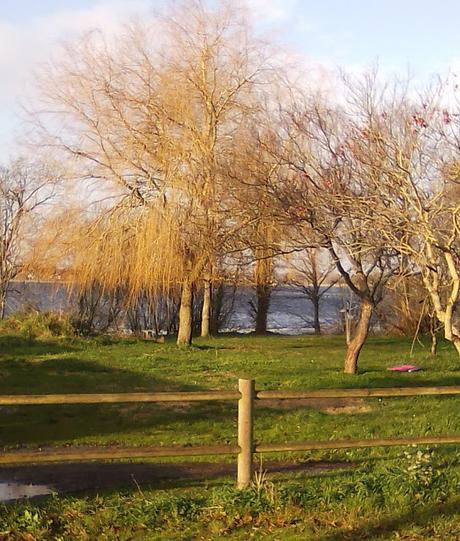 au chaland qui passe