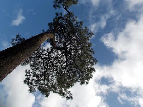 au chaland qui passe