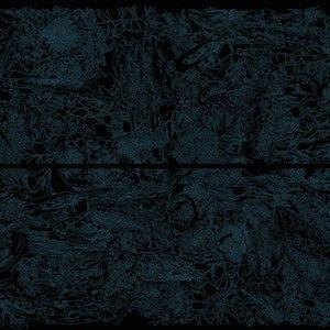 Fabio R. Lattuca Fabio R. Lattuca