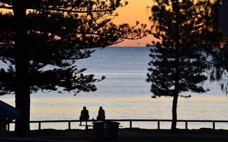 Craft beer – Laissons entrer le Soleil! La série des brasseries régionales se dirige vers la Sunshine Coast
 – Houblon