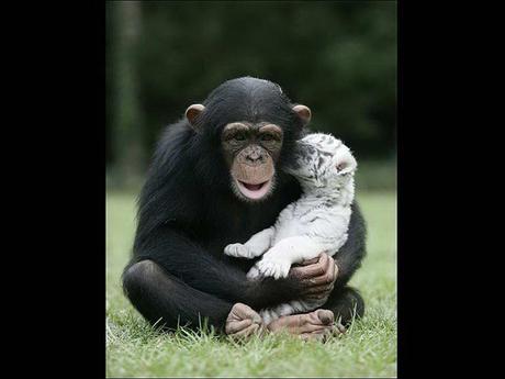 Divers - Beau comme tout - 4