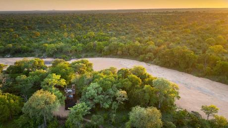 Afrique du Sud : une cabane dans les arbres pour dormir dans la brousse