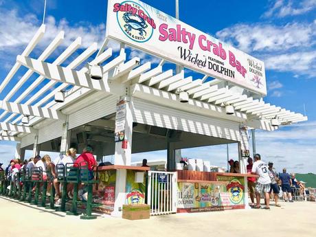 News bière – Choix de nourriture de baseball aux jeux d’entraînement du printemps à Fort Myers, North Port, comté de Charlotte
 – Houblon