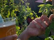 Info bière signifie pour vous artisanale? Communauté Bière