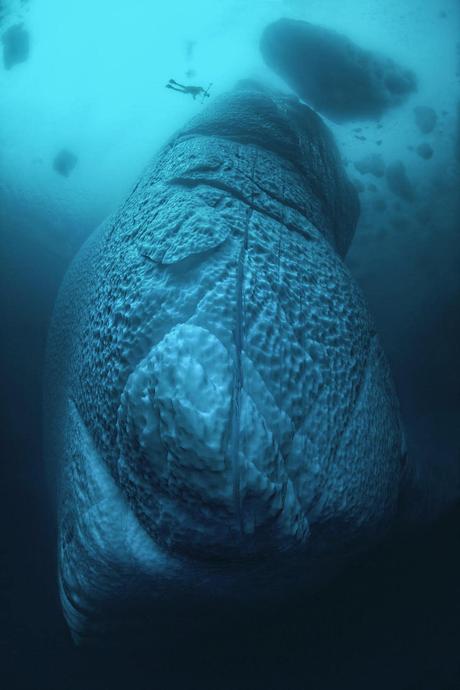 Étonnantes photos des icebergs sous-marins du Groenland