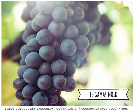 58580523_2349572255291657_8986005824518225920_n 58580523_2349572255291657_8986005824518225920_n