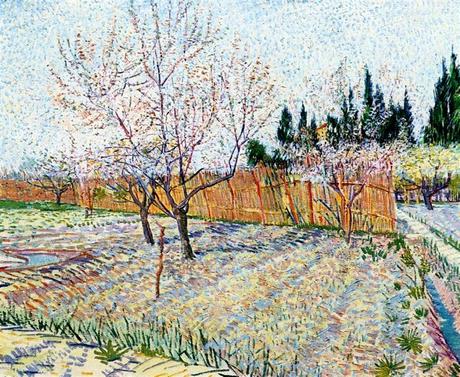 Van Gogh 1888 orchard-with-peach-trees-in-blossom coll priv
