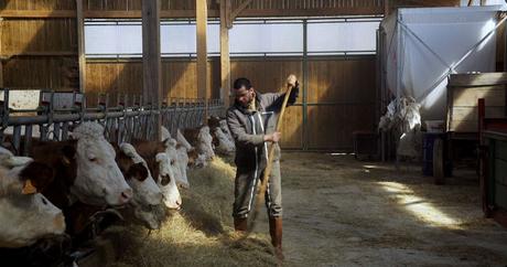 [CRITIQUE] : Cyrille, agriculteur, 30 ans, 20 vaches, du lait, du beurre, des dettes