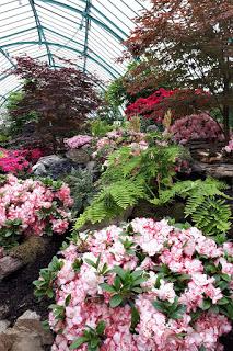Les Serres Royales de Laeken