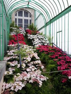 Les Serres Royales de Laeken