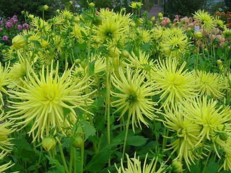 La France - L'Ecole de Coutances en 2011