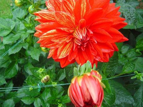 La France - L'Ecole de Coutances en 2011