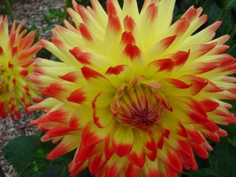 La France - L'Ecole de Coutances en 2011