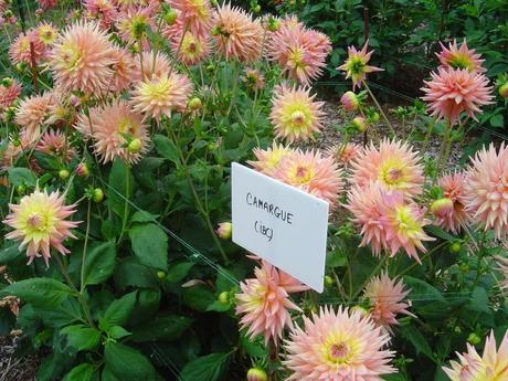 La France - L'Ecole de Coutances en 2011