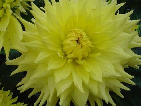 La France - L'Ecole de Coutances en 2011