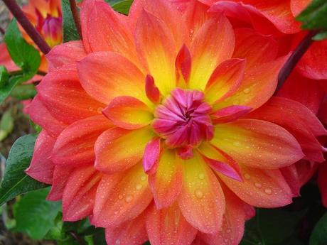 La France - L'Ecole de Coutances en 2011