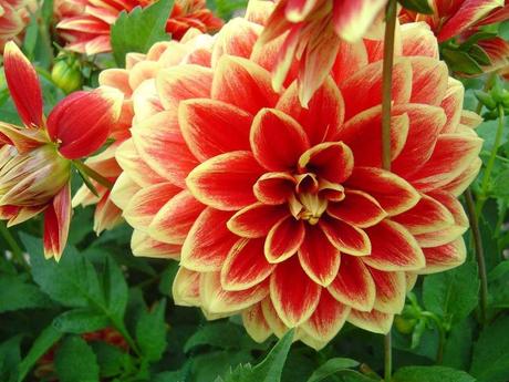 La France - L'Ecole de Coutances en 2011