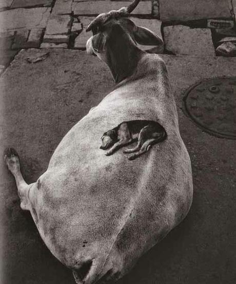 J'ai trouvé ma liberté