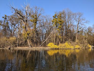 40 Pics -Schloßpark Nymphenburg -18.03.2020 - Parc du château de Nymphenburg