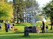 sans dents sont-ils coupables?