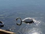 Soixante-neuf ans, neuf cents moins Mathusalem l'heure mort...