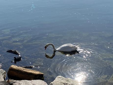 Soixante-neuf ans, neuf cents de moins que Mathusalem à l'heure de sa mort...