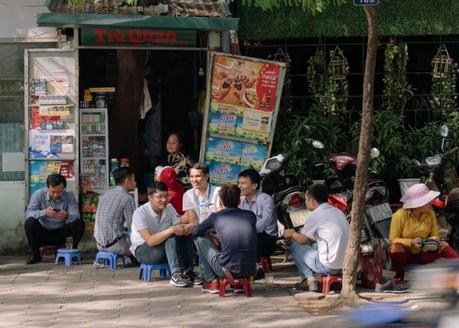 Culture du thé au Vietnam