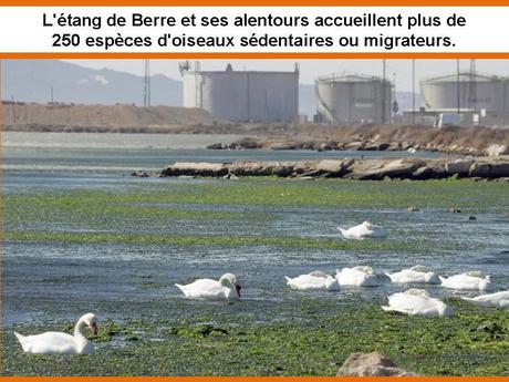 La France - L'Etang de Berre