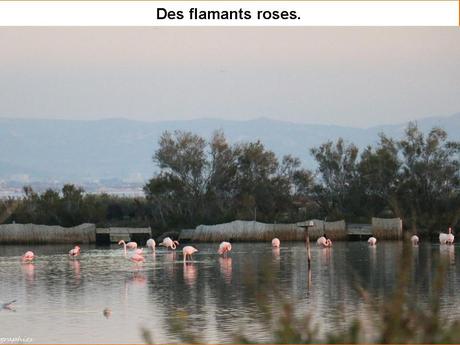 La France - L'Etang de Berre